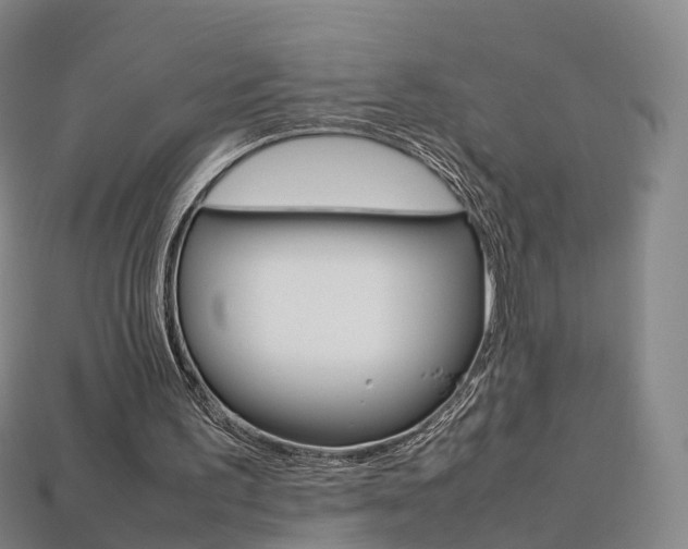 X0000113750195200909231012
