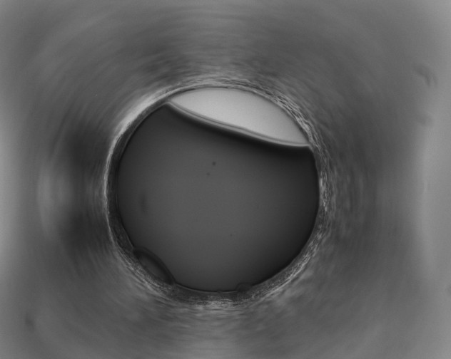 X0000113750196200909231012