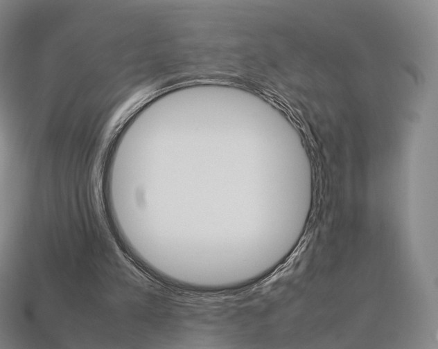 X0000113750197200909231012