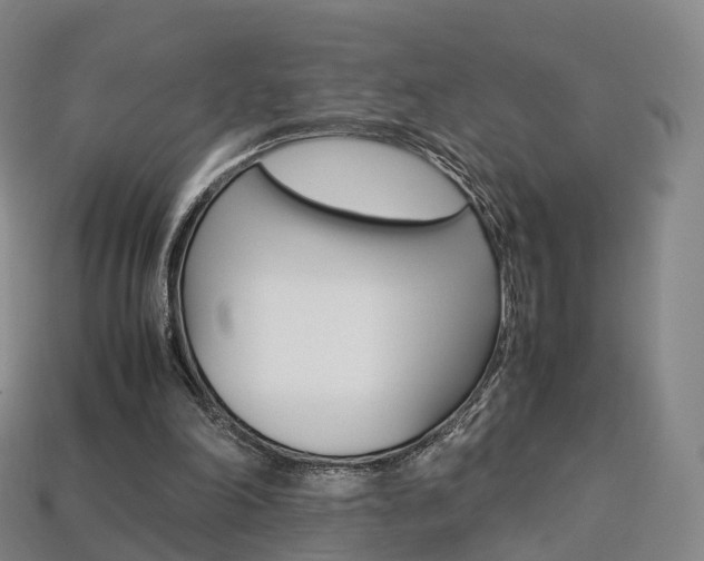 X0000113750198200909231012