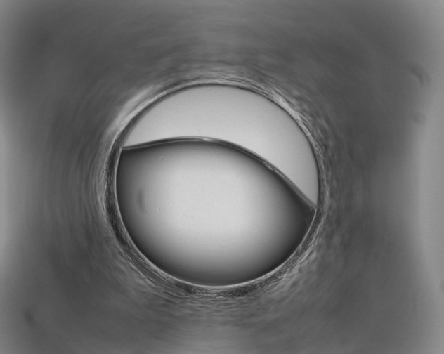 X0000113750199200909231012