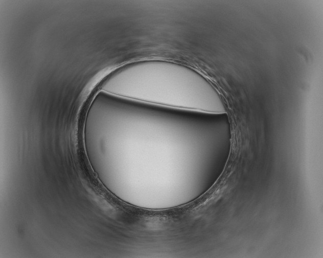 X0000113750200200909231012