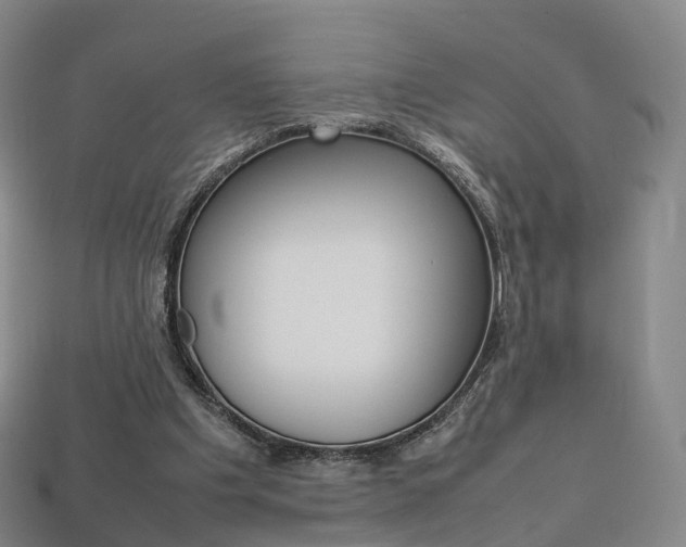 X0000113750201200909231012