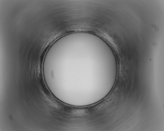 X0000113750202200909231012