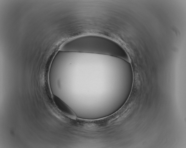 X0000113750203200909231012