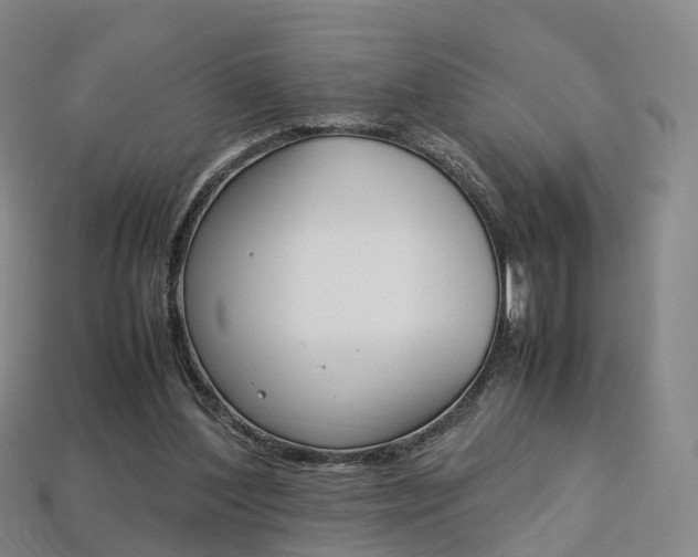 X0000113750204200909231012