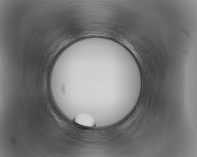 X0000113750205200909231012