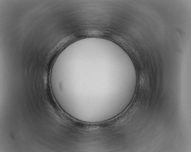 X0000113750206200909231012