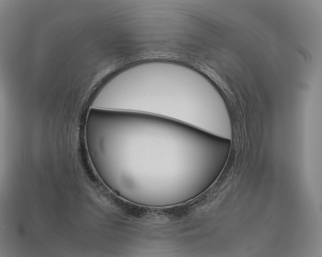 X0000113750207200909231012