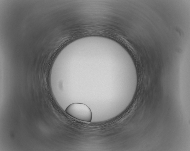 X0000113750209200909231012