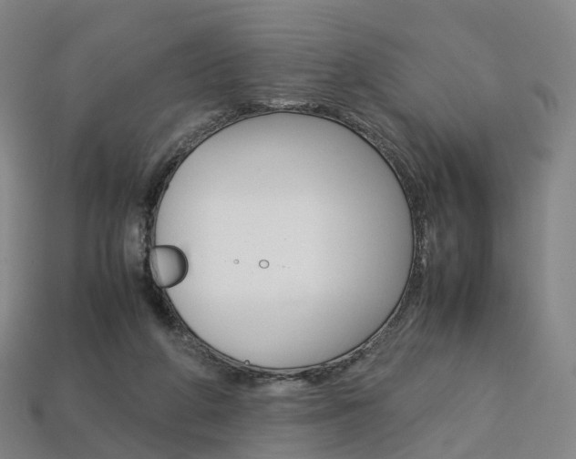 X0000113750210200909231012