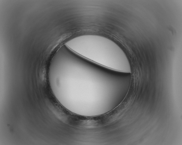 X0000113750212200909231012