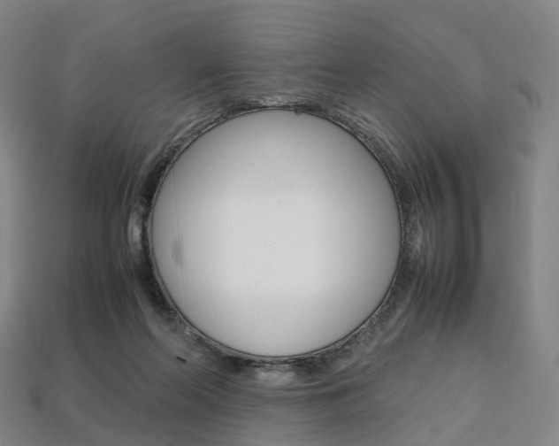 X0000113750214200909231012