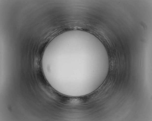 X0000113750218200909231012