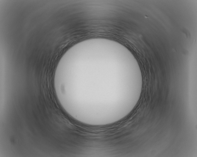 X0000113750219200909231012