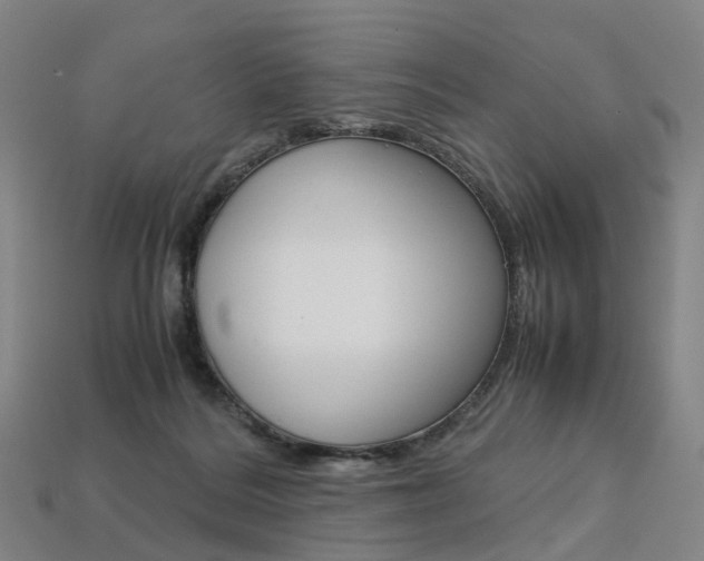 X0000113750220200909231012