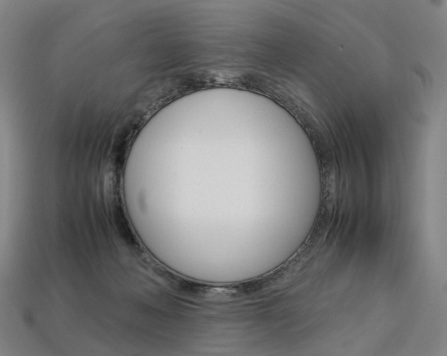 X0000113750222200909231012