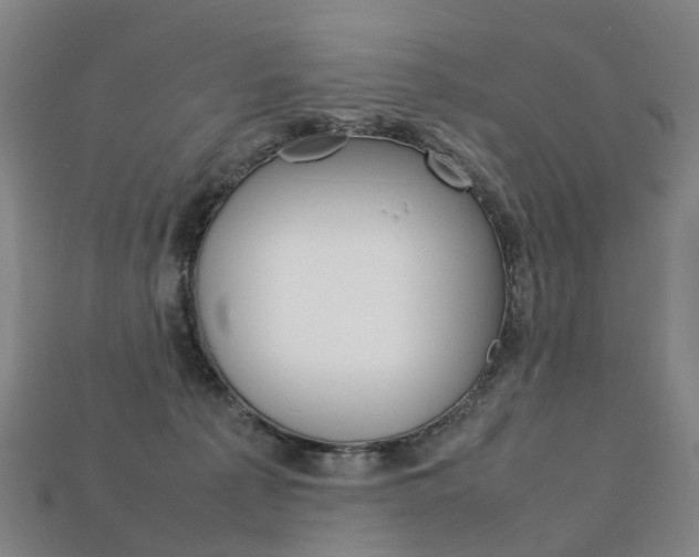X0000113750225200909231012