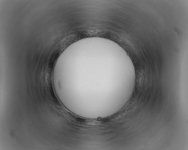 X0000113750226200909231012
