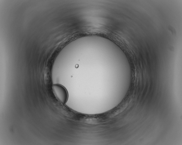 X0000113750228200909231012