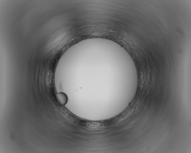 X0000113750230200909231012