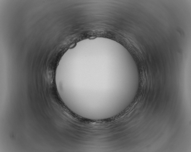 X0000113750232200909231012