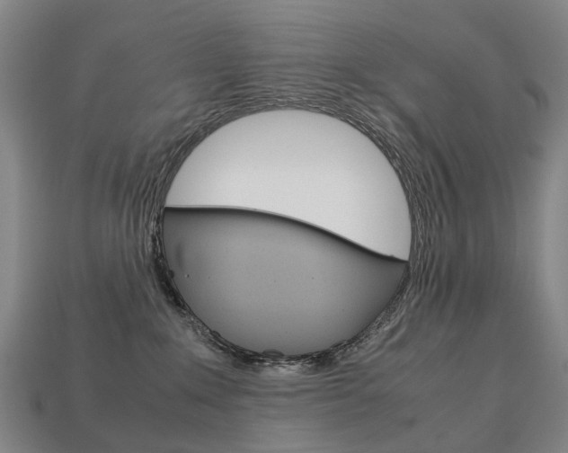 X0000113750235200909231012