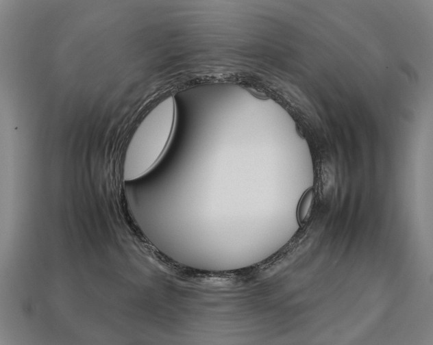 X0000113750236200909231012
