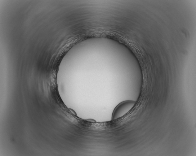 X0000113750240200909231012