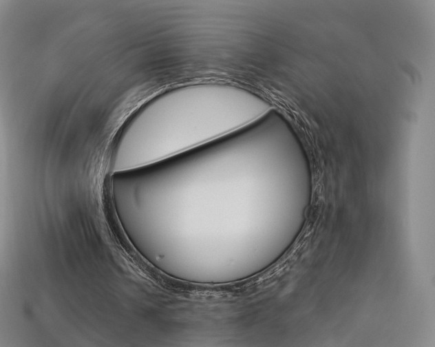 X0000113750242200909231011