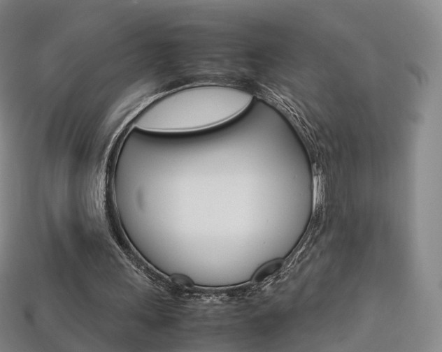 X0000113750243200909231011