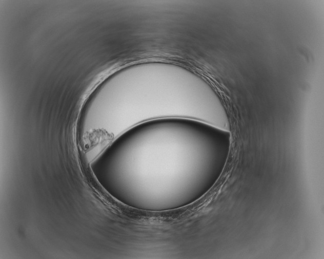 X0000113750244200909231011