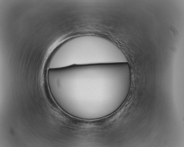X0000113750246200909231011