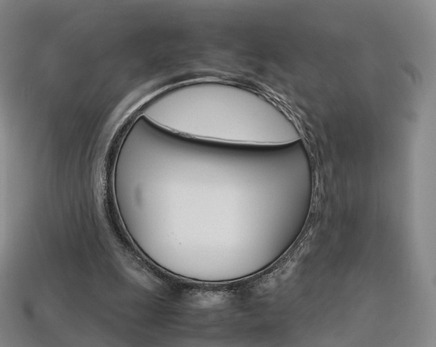 X0000113750247200909231011