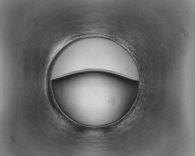 X0000113750248200909231011