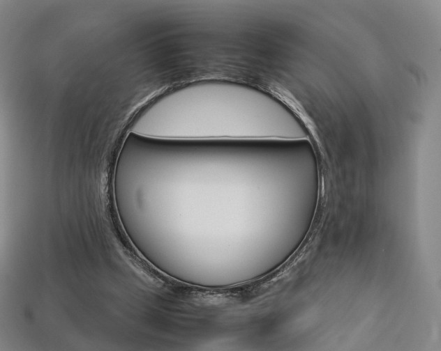 X0000113750249200909231011