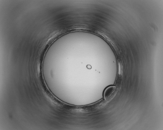 X0000113750253200909231011