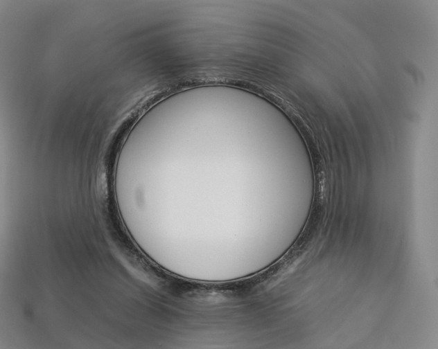 X0000113750254200909231011