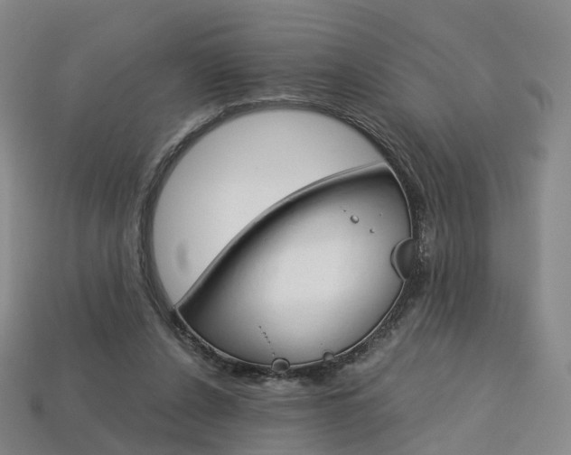 X0000113750256200909231011