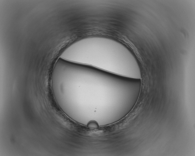 X0000113750257200909231012