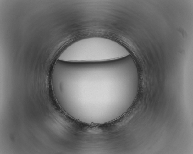 X0000113750258200909231012