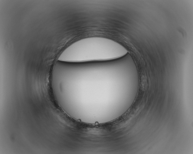 X0000113750259200909231012