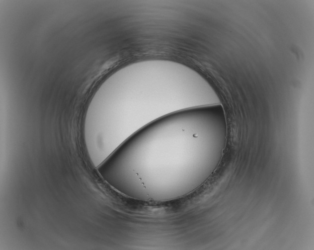 X0000113750260200909231012