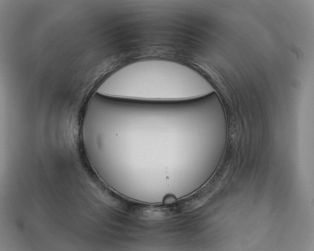 X0000113750261200909231012