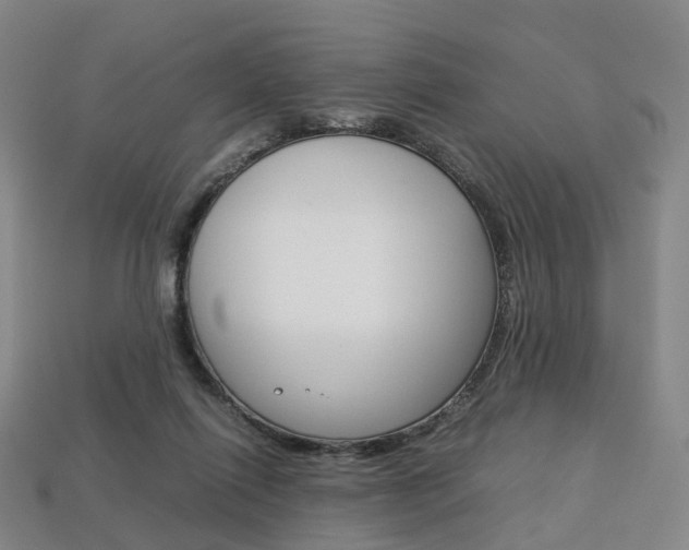 X0000113750262200909231012