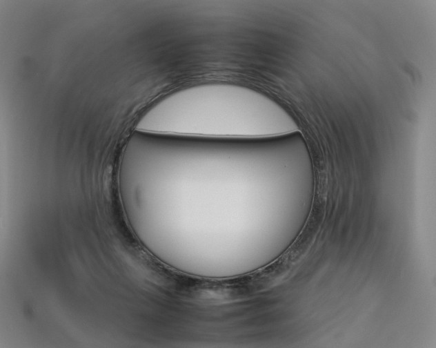 X0000113750263200909231012