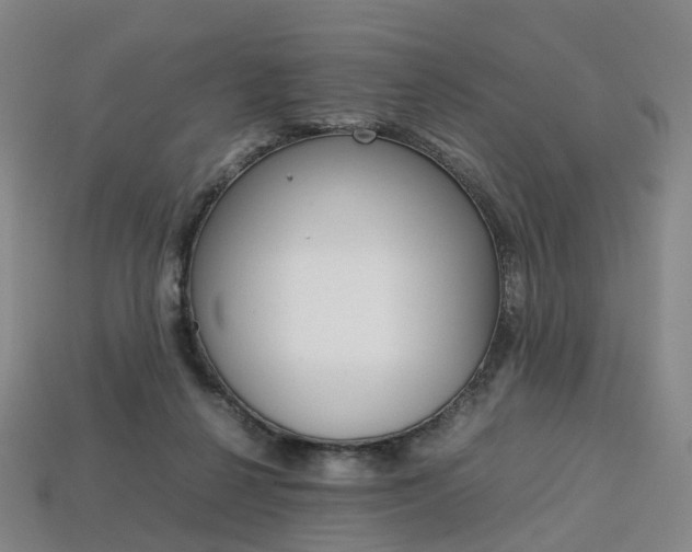 X0000113750264200909231012
