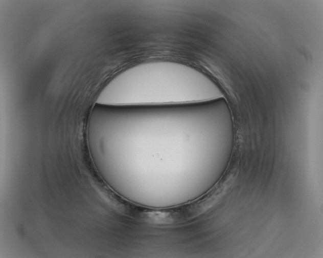 X0000113750265200909231012
