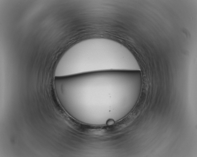 X0000113750266200909231012