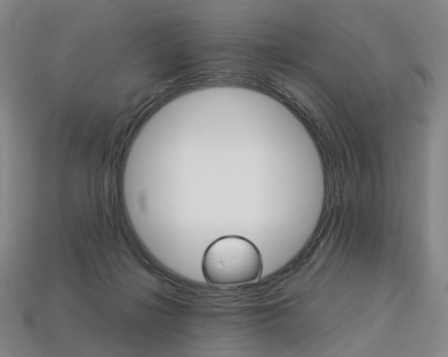 X0000113750268200909231012